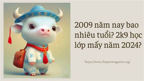 lớp 9 năm nay bao nhiêu tuổi